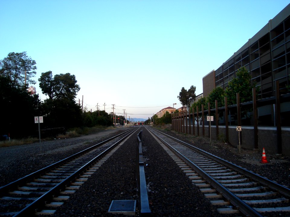 dsc00179.jpg 