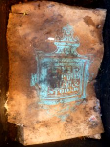 P1060638 