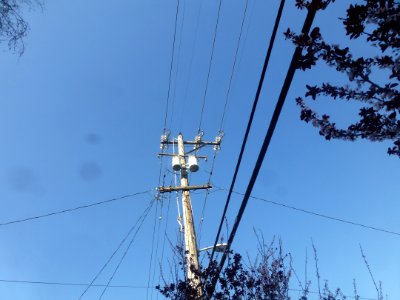 P1060681 