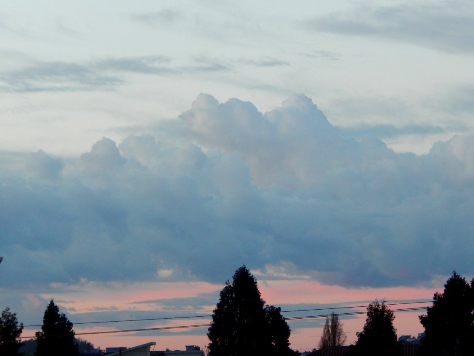 DSCN0678 