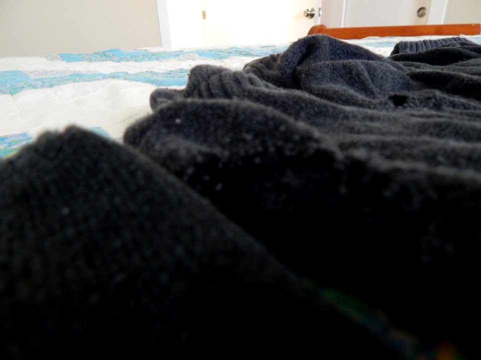 DSCN0695 