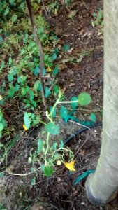 IMG_20150427_095713059_1 