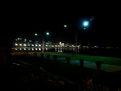 dsc00261.jpg 