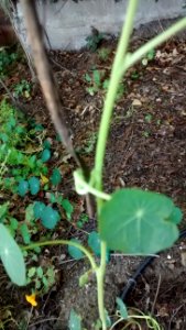 IMG_20150427_095721834_1 