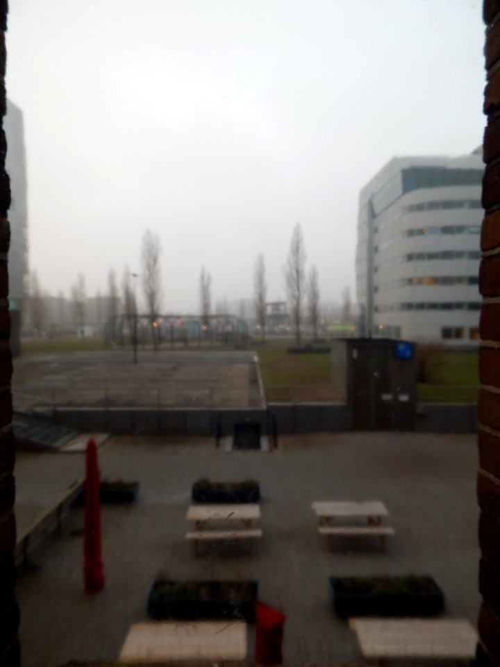 DSCN0710 