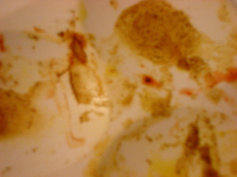 dsc02560.jpg 