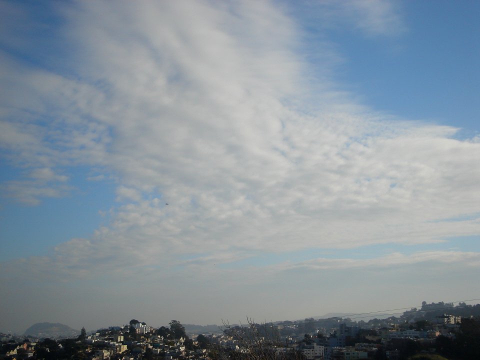 dsc02575.jpg 