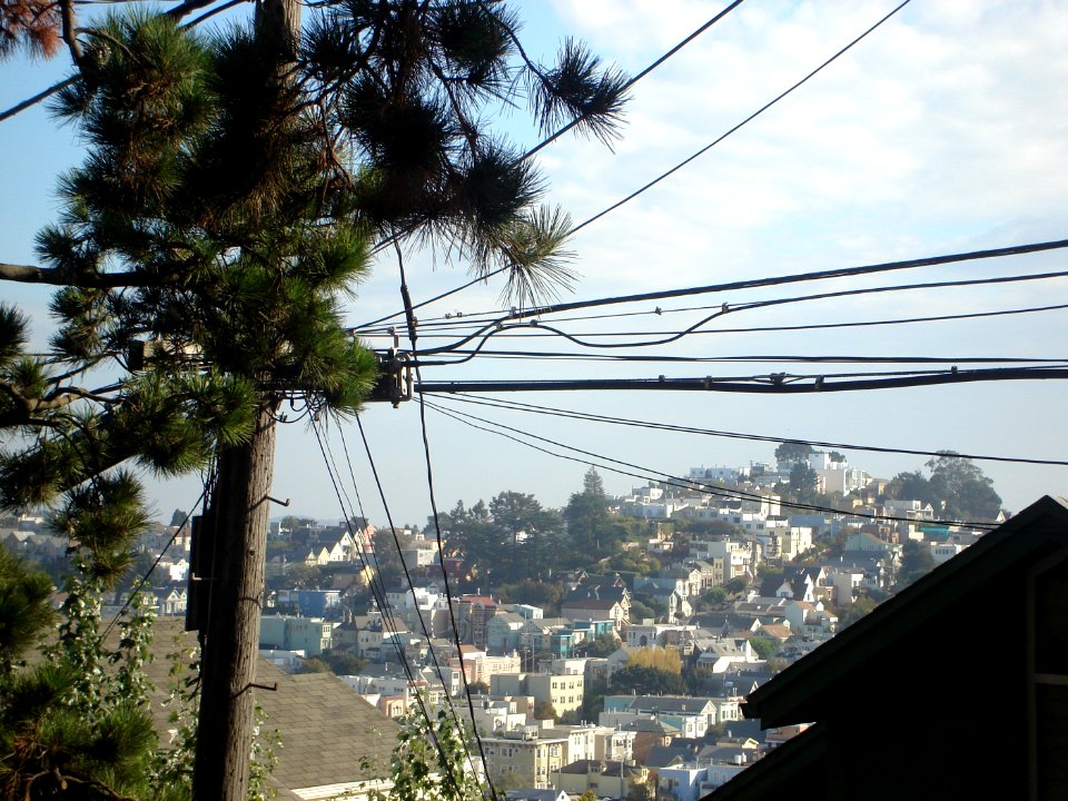 dsc02585.jpg 