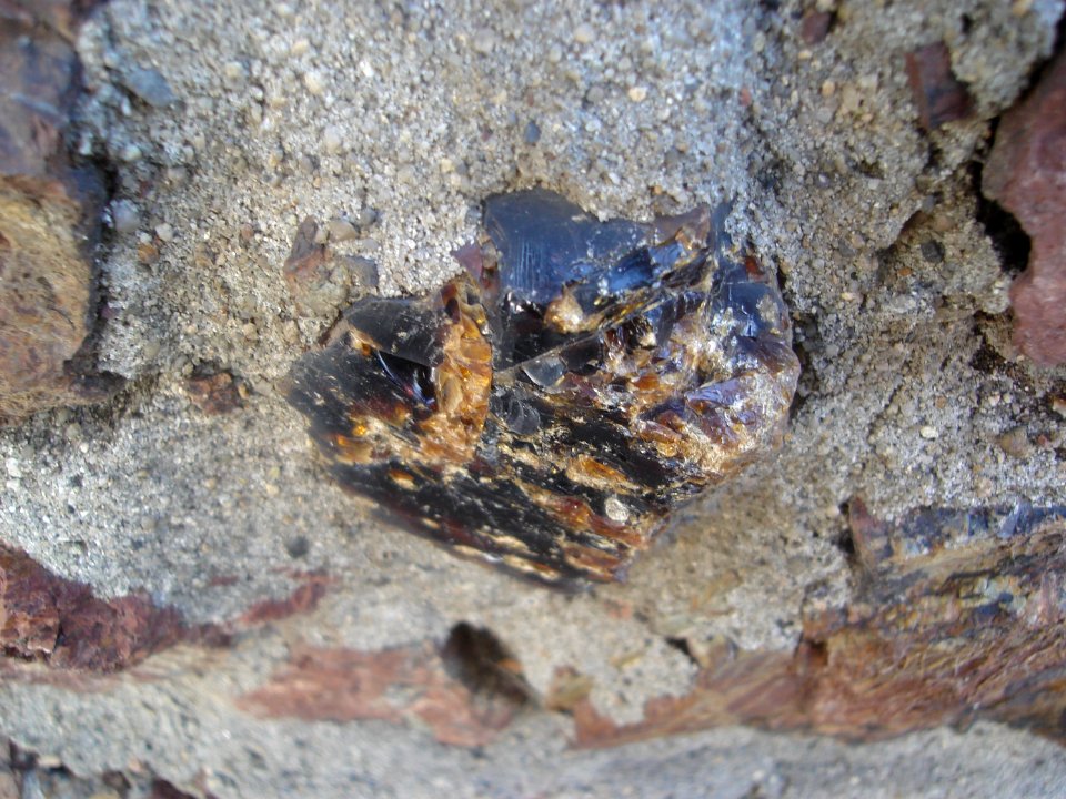 dsc02580.jpg 