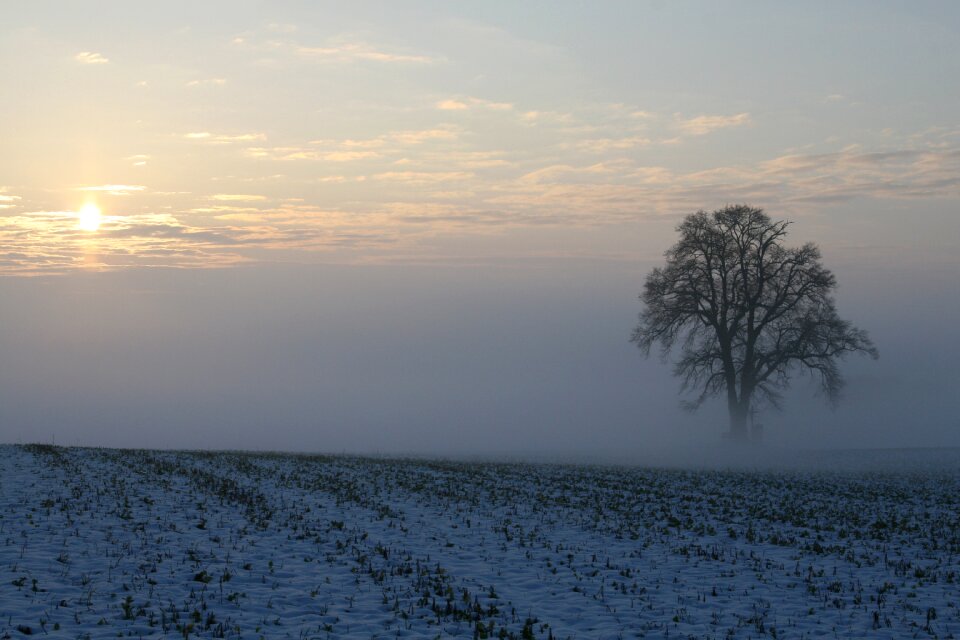 Morning light sunrise cold