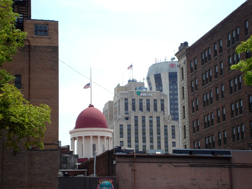 dsc00376.jpg 