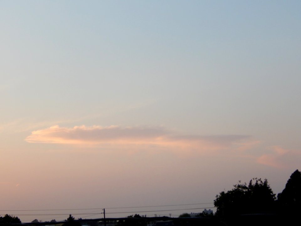 DSCN0774 