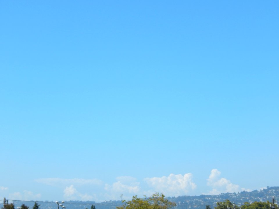 DSCN0829 