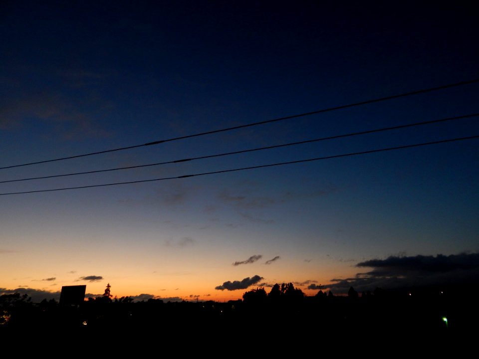 DSCN0818 