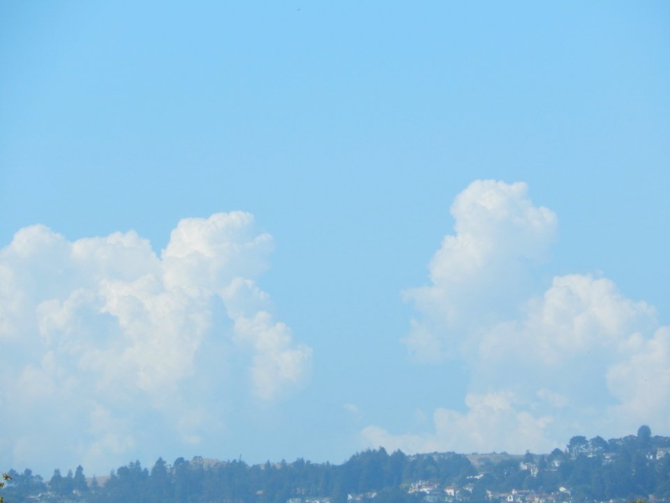 DSCN0830 