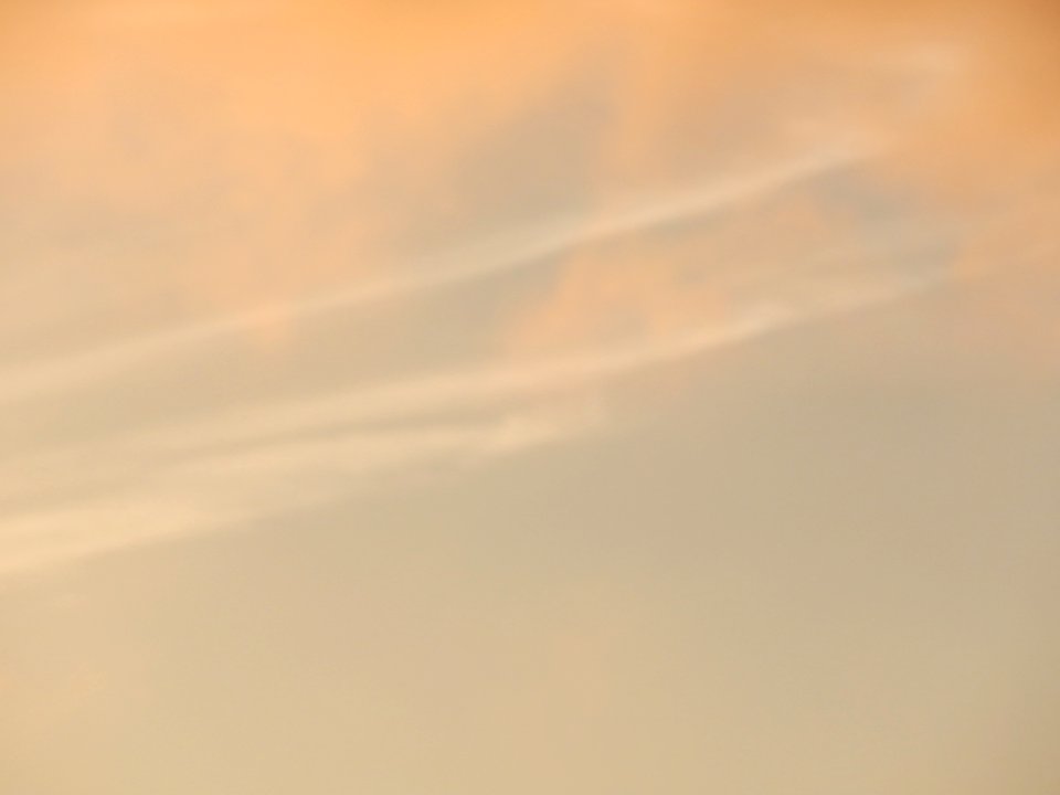 DSCN0810 