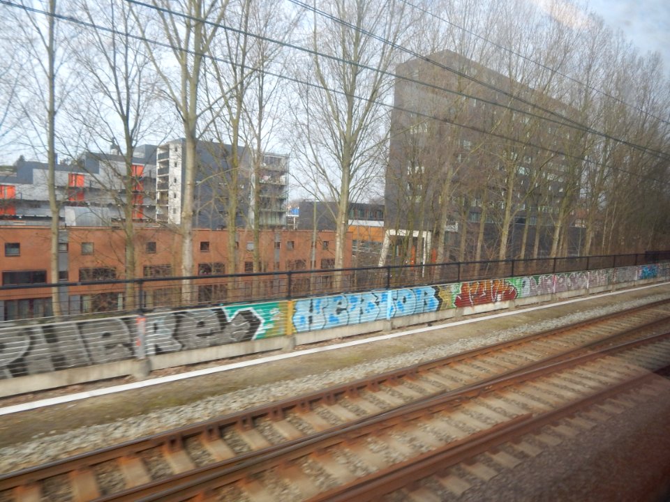 DSCN0702 