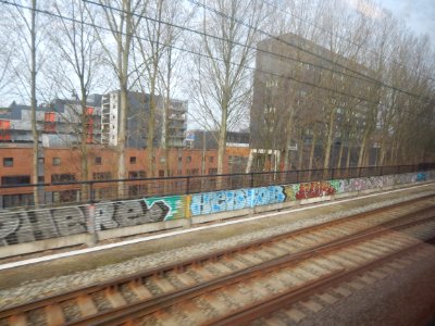 DSCN0702 