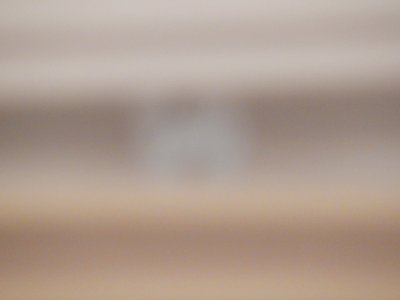 DSCN0790 