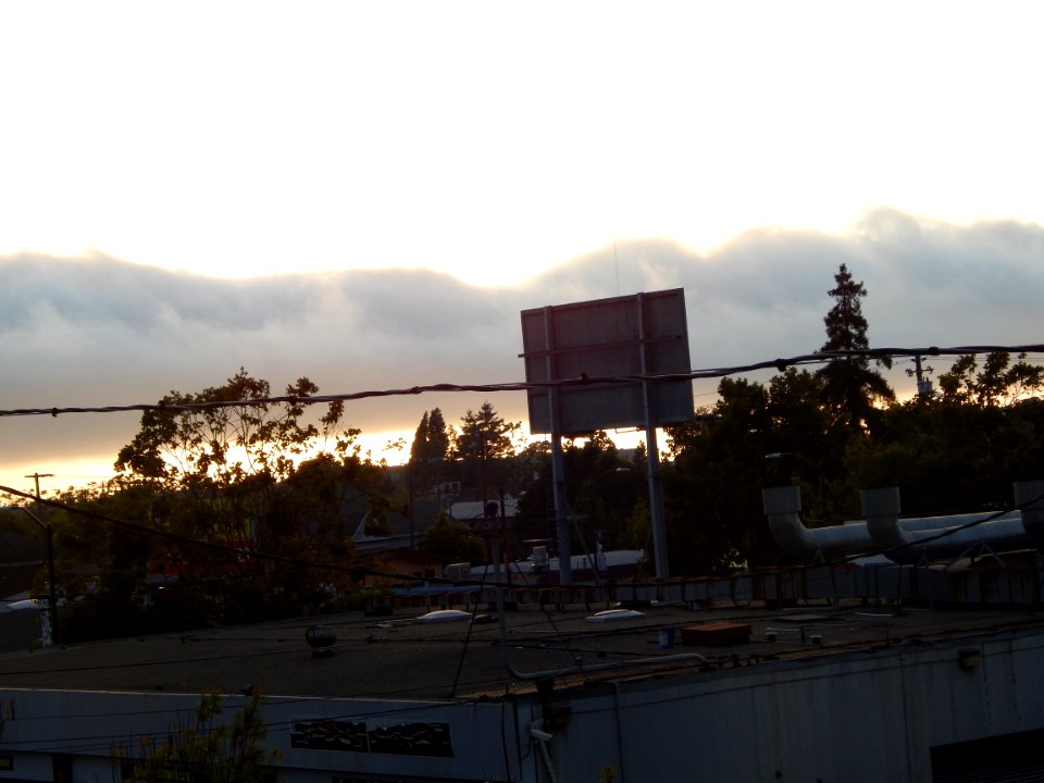 DSCN0801 
