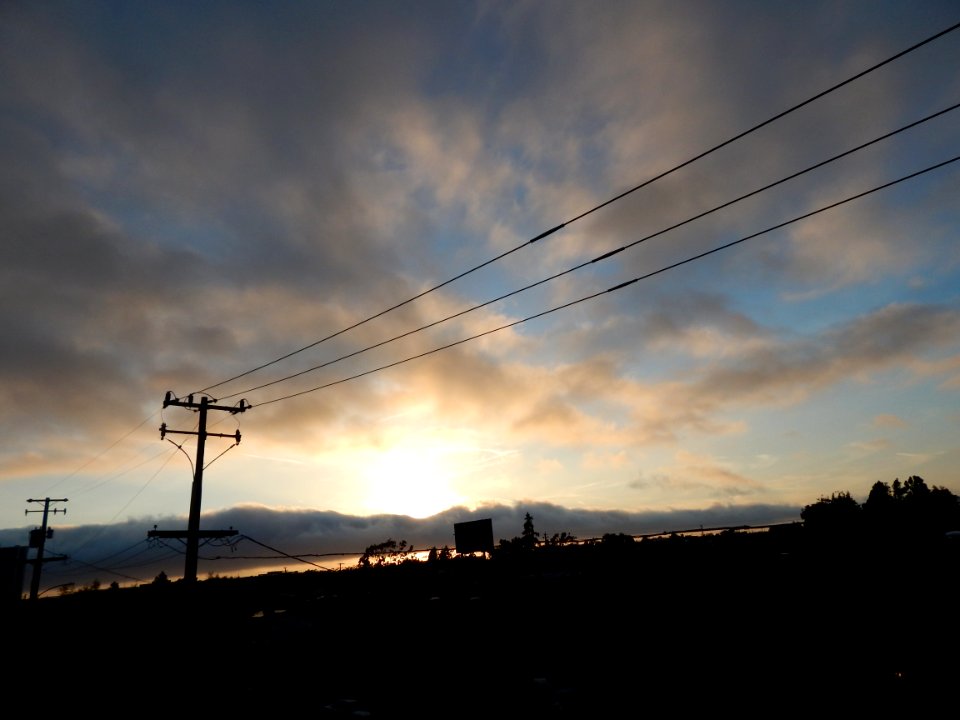 DSCN0799 