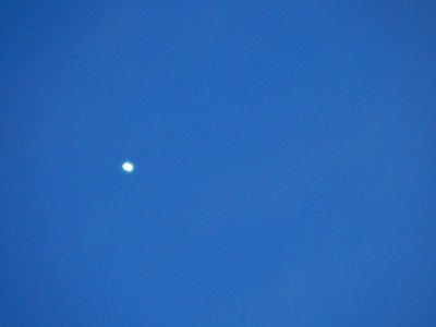 DSCN0825 