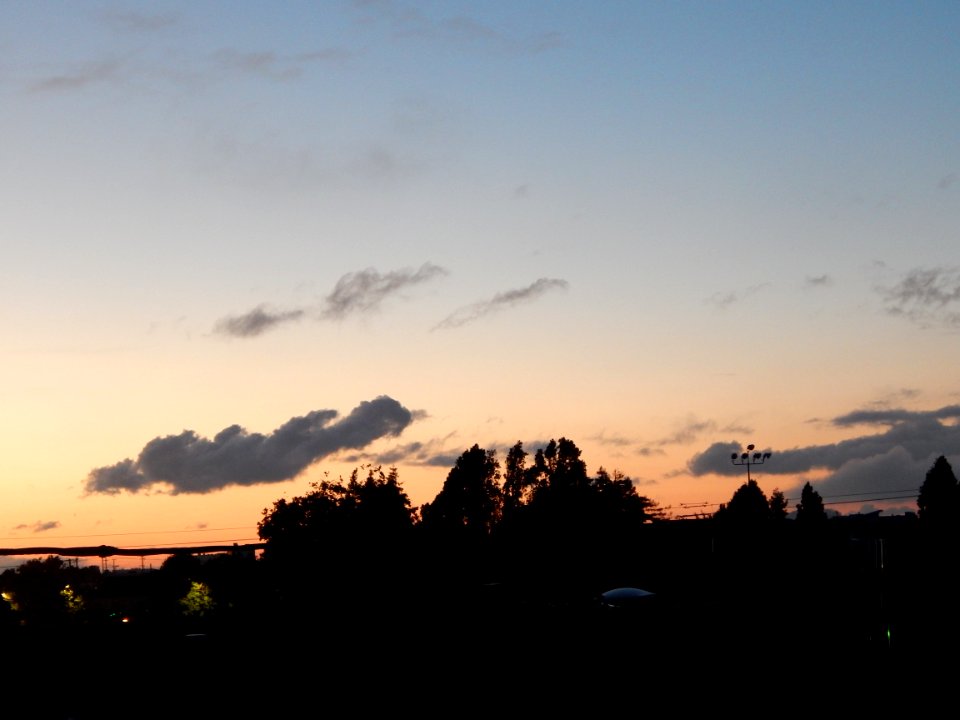 DSCN0820 