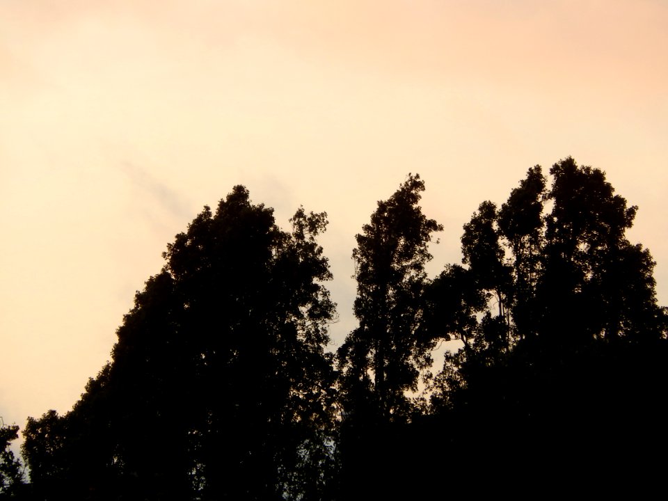 DSCN0811 