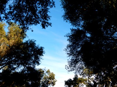 DSCN0944 