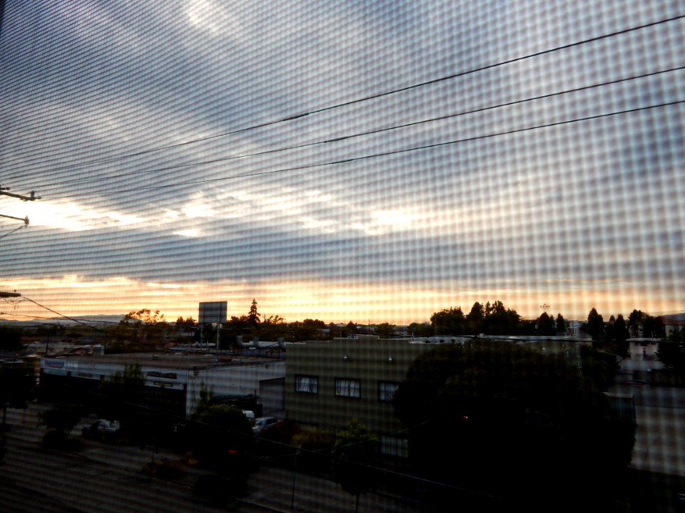DSCN0991 