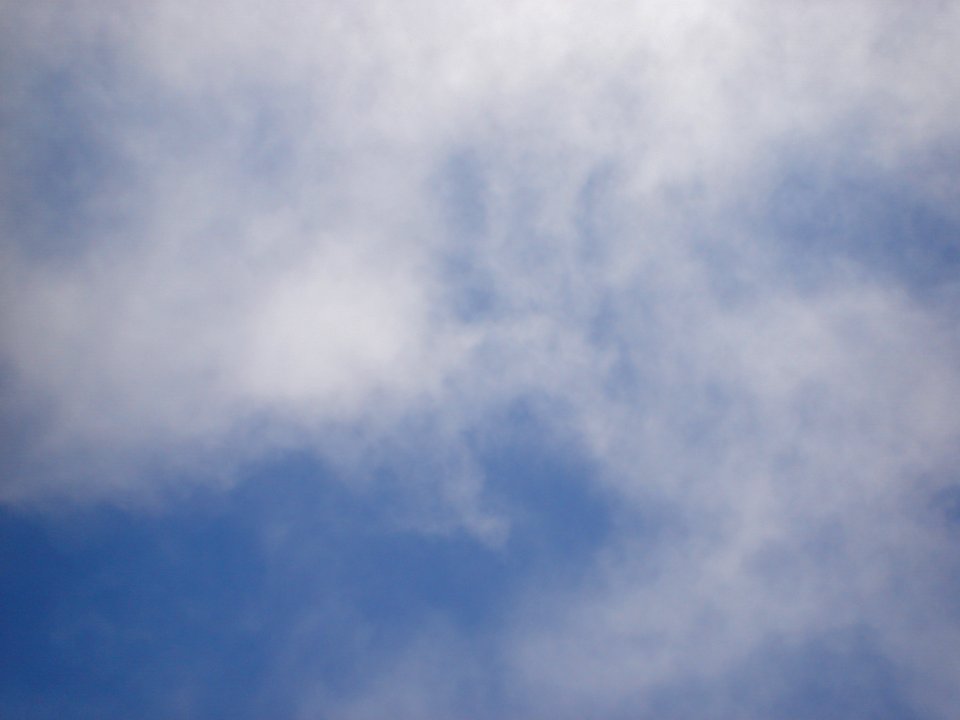 dsc00491.jpg 