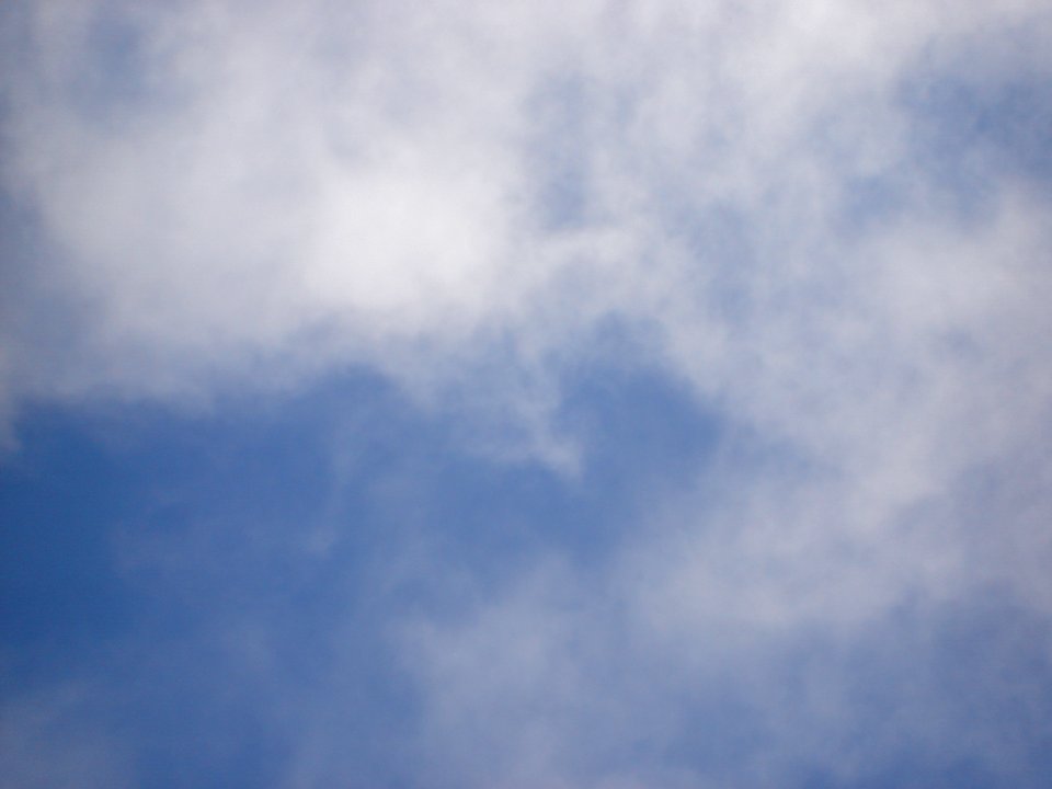 dsc00490.jpg 