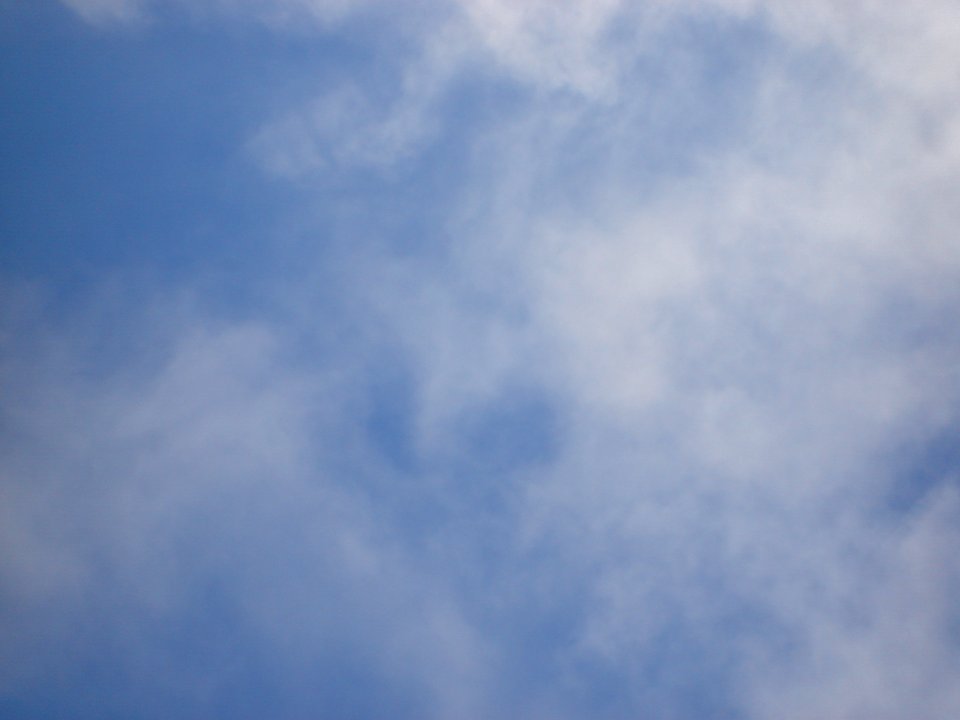 dsc00488.jpg 