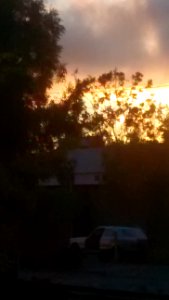 IMG_20150628_202253643_1 