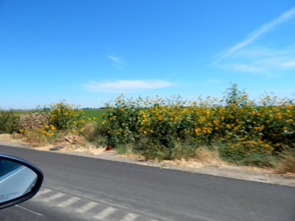 DSCN0857 