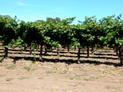 DSCN0865 