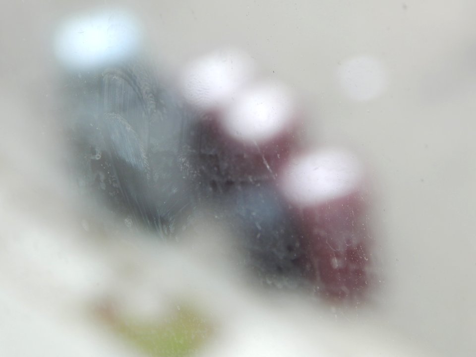 DSCN0994 