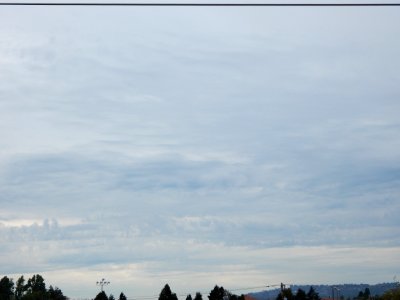 DSCN0833 