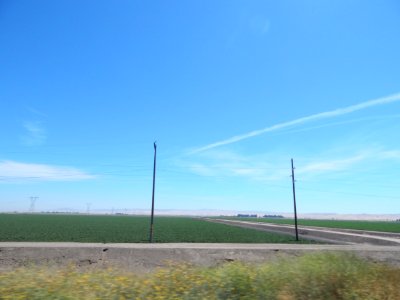 DSCN0846 