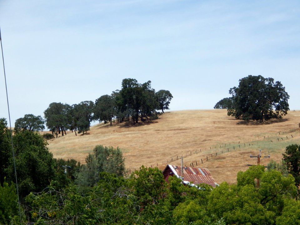 DSCN0932 