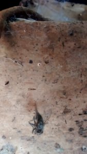 IMG_20150726_103802773_1 