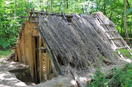 Cabin chalet construction