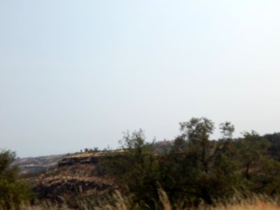 DSCN1173 
