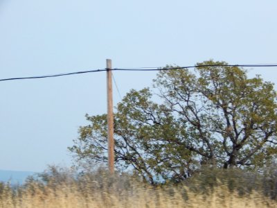 DSCN1176 