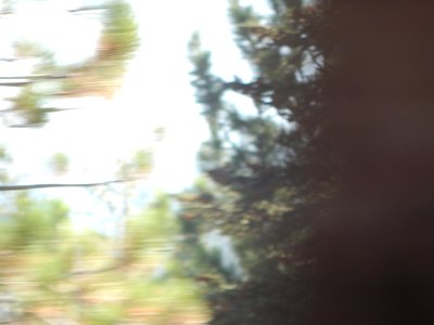DSCN1309 
