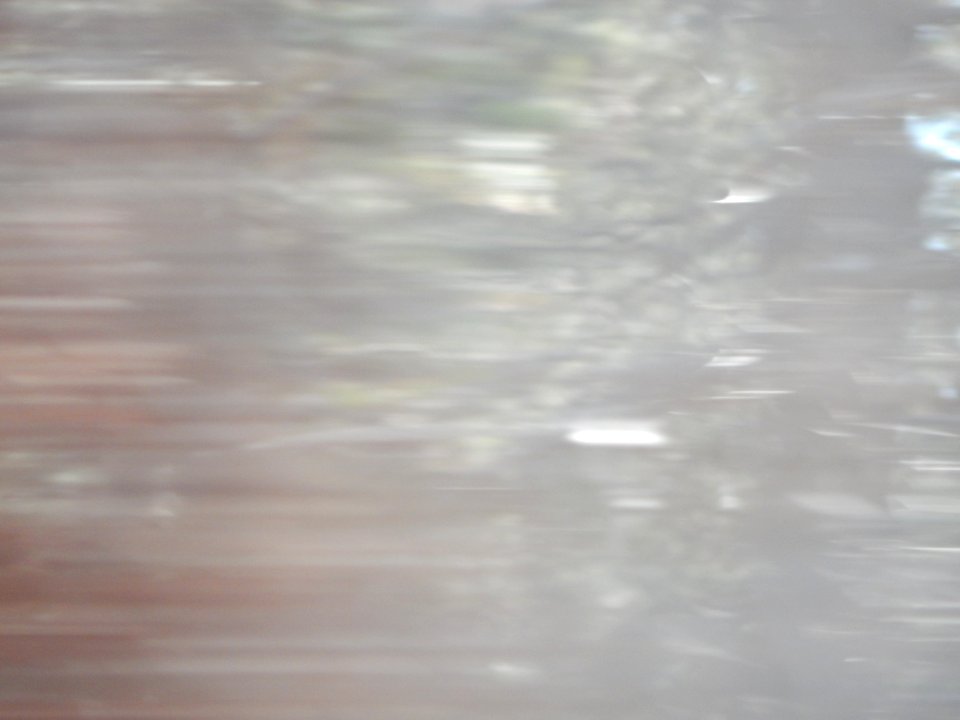DSCN1333 