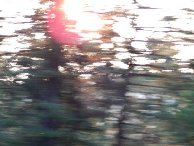 DSCN1382 