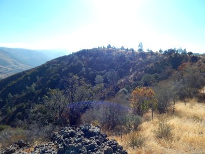DSCN1466 