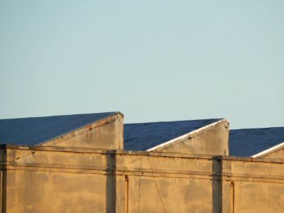 DSCN1120 