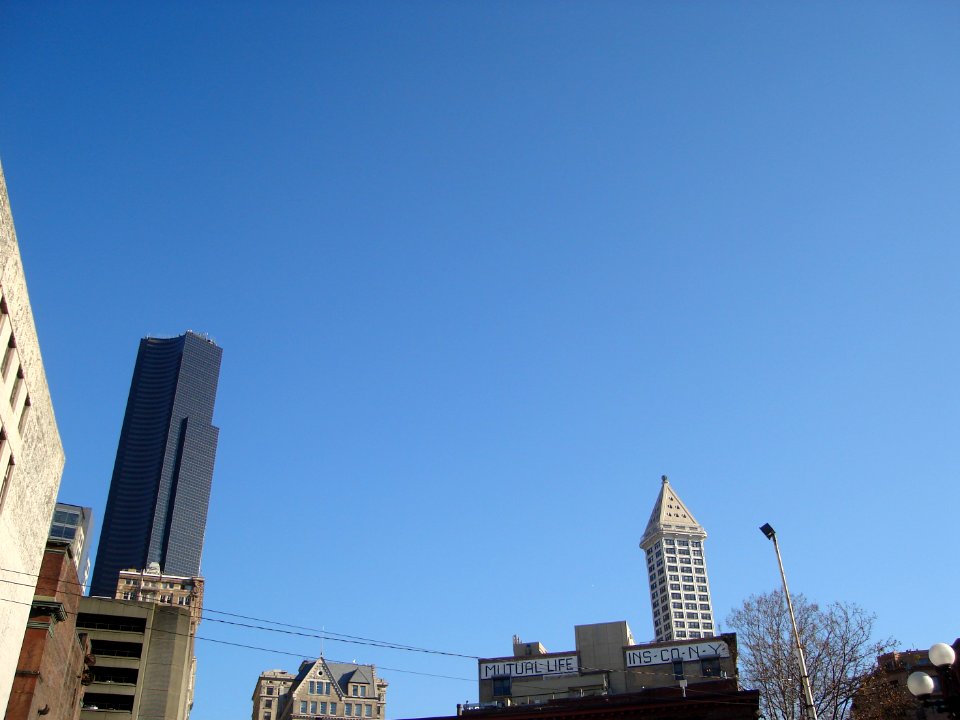 dsc02655.jpg 